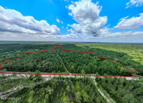 View/Area - 20525 Pete Hickman Rd, Saucier, MS 39574 photo 1 of 9