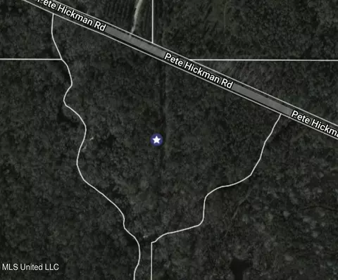 View/Area - 20525 Pete Hickman Rd, Saucier, MS 39574 photo 9 of 9