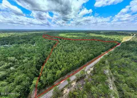 View/Area - 20525 Pete Hickman Rd, Saucier, MS 39574 photo 5 of 9