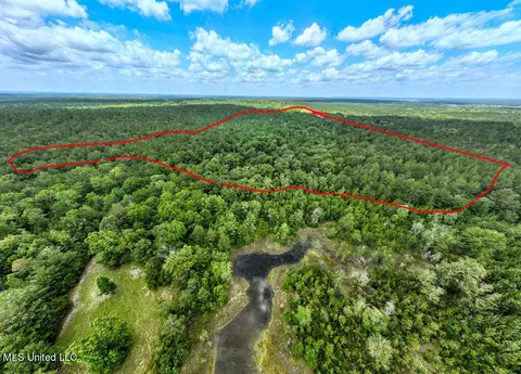 View/Area - 20525 Pete Hickman Rd, Saucier, MS 39574 photo 4 of 9