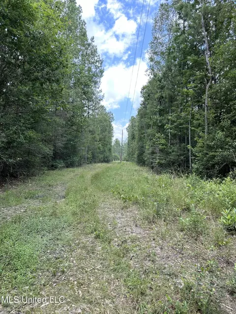 View/Area - 20525 Pete Hickman Rd, Saucier, MS 39574 photo 8 of 9