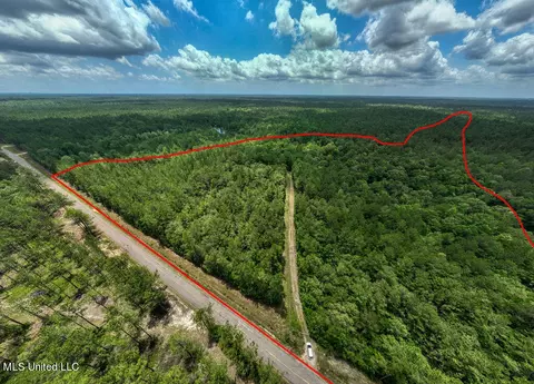 View/Area - 20525 Pete Hickman Rd, Saucier, MS 39574 photo 6 of 9