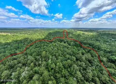 View/Area - 20525 Pete Hickman Rd, Saucier, MS 39574 photo 3 of 9