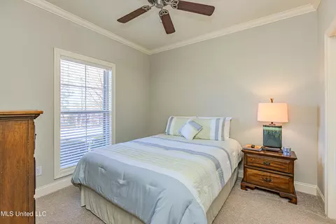 116 Devlin Dr, Madison, MS 39110 photo 19