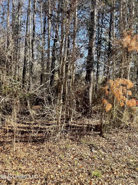 Bradley Road, Edwards, MS 39066