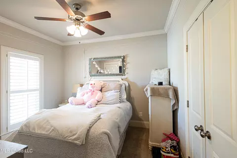 109 Esther Cove Cv, Madison, MS 39110 photo 11