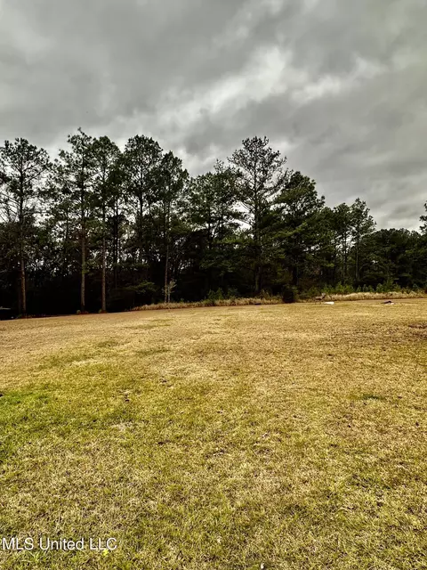 26401 Dennis Nelson Rd, Lucedale, MS 39452 photo 3