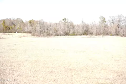 1630 Volley Campbell Rd, Terry, MS 39170 photo 4
