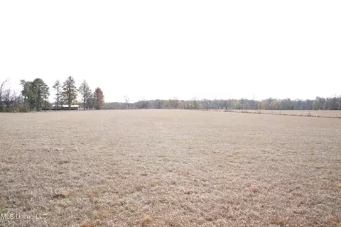 1630 Volley Campbell Rd, Terry, MS 39170 photo 3