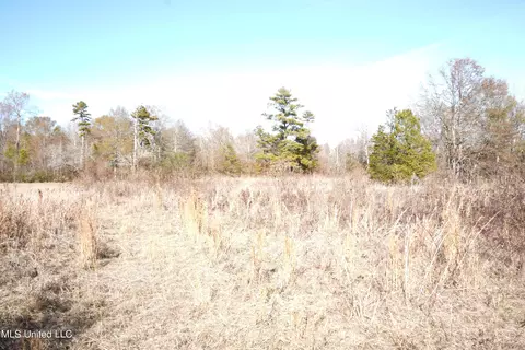 1630 Volley Campbell Rd, Terry, MS 39170 photo 8