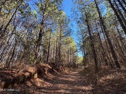 1 Henry Cannon Rd, Braxton, MS 39044