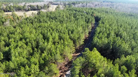 1 Henry Cannon Rd, Braxton, MS 39044 photo 8