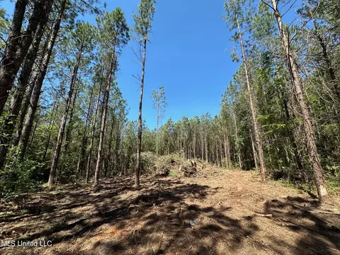 1 Henry Cannon Rd, Braxton, MS 39044 photo 13