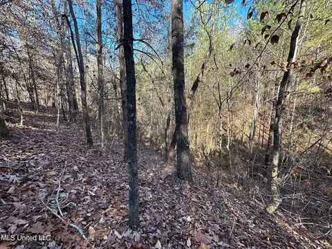 1 Henry Cannon Rd, Braxton, MS 39044 photo 5