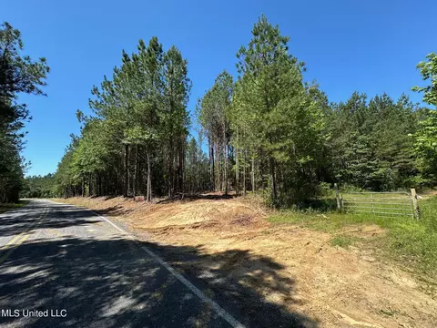 1 Henry Cannon Rd, Braxton, MS 39044 photo 12