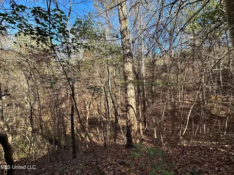 1 Henry Cannon Rd, Braxton, MS 39044 photo 6