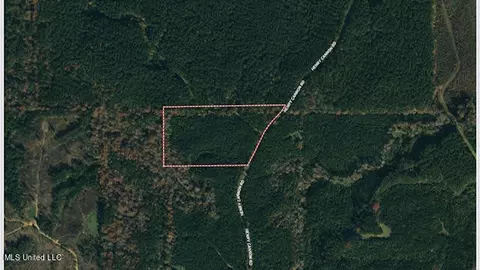 1 Henry Cannon Rd, Braxton, MS 39044 photo 10