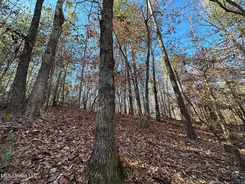 2 Henry Cannon Rd, Braxton, MS 39044 photo 7