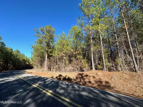 2 Henry Cannon Rd, Braxton, MS 39044 photo 3