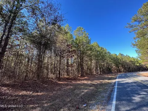 2 Henry Cannon Rd, Braxton, MS 39044 photo 2