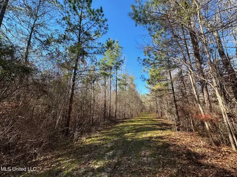 2 Henry Cannon Rd, Braxton, MS 39044 photo 10