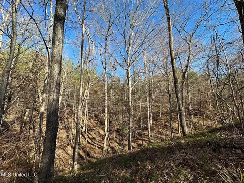 2 Henry Cannon Rd, Braxton, MS 39044 photo 12