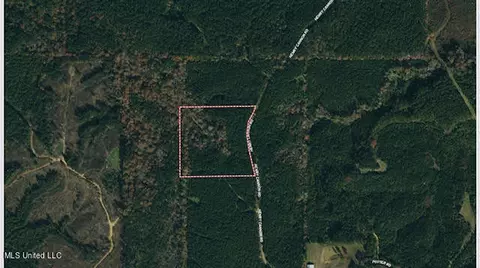 2 Henry Cannon Rd, Braxton, MS 39044 photo 18