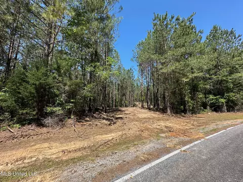 2 Henry Cannon Rd, Braxton, MS 39044 photo 22