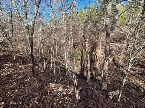 2 Henry Cannon Rd, Braxton, MS 39044 photo 11