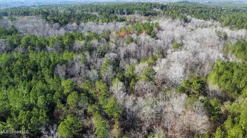 2 Henry Cannon Rd, Braxton, MS 39044 photo 16