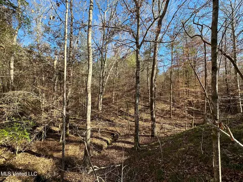 2 Henry Cannon Rd, Braxton, MS 39044 photo 13