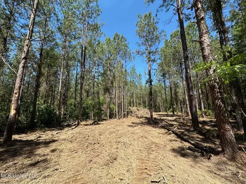 2 Henry Cannon Rd, Braxton, MS 39044 photo 20