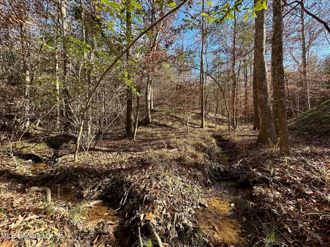 2 Henry Cannon Rd, Braxton, MS 39044 photo 14