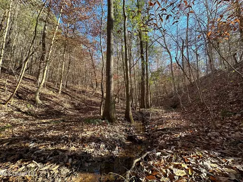 2 Henry Cannon Rd, Braxton, MS 39044