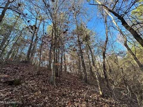2 Henry Cannon Rd, Braxton, MS 39044 photo 6