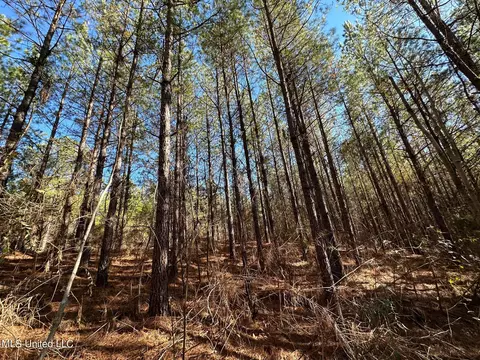 2 Henry Cannon Rd, Braxton, MS 39044 photo 5