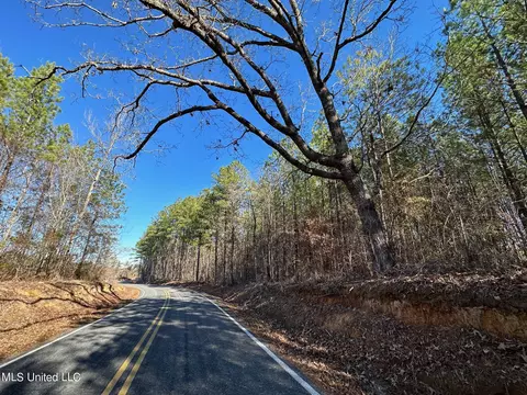 3 Henry Cannon Rd, Braxton, MS 39044