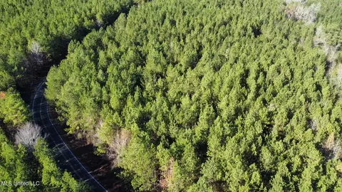 5 Henry Cannon Rd, Braxton, MS 39044