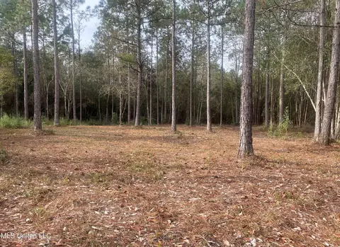 00 W Edgewood Dr, Saucier, MS 39574 photo 2