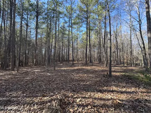 0 Shadow Creek Dr, Florence, MS 39073 photo 4