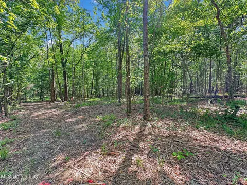 0 Shadow Creek Dr, Florence, MS 39073 photo 14