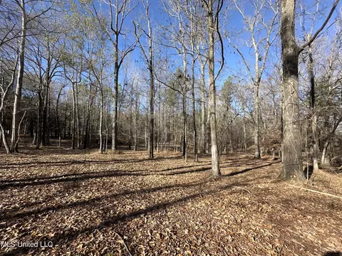 0 Shadow Creek Dr, Florence, MS 39073 photo 3