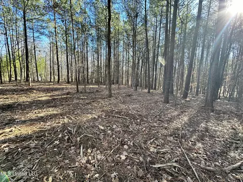 0 Shadow Creek Dr, Florence, MS 39073 photo 6