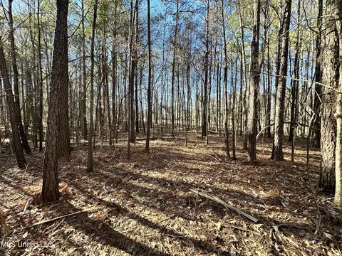 0 Shadow Creek Dr, Florence, MS 39073 photo 7