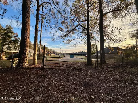 0 Shadow Creek Dr, Florence, MS 39073 photo 9