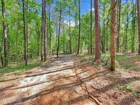 0 Shadow Creek Dr, Florence, MS 39073 photo 11