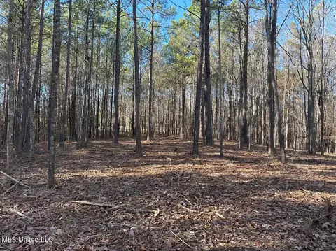 0 Shadow Creek Dr, Florence, MS 39073 photo 5