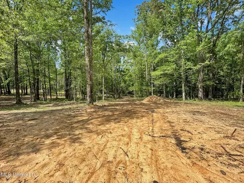 0 Shadow Creek Dr, Florence, MS 39073 photo 13