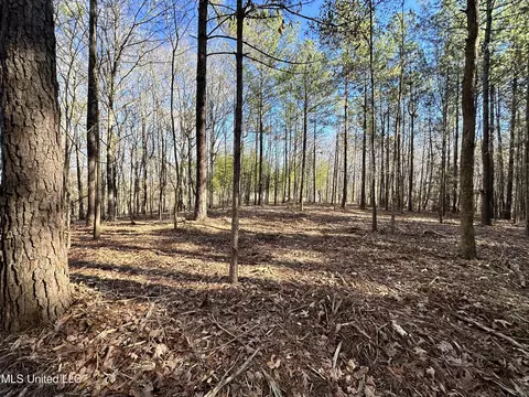 0 Shadow Creek Dr, Florence, MS 39073 photo 8