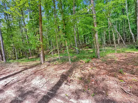 0 Shadow Creek Dr, Florence, MS 39073 photo 12